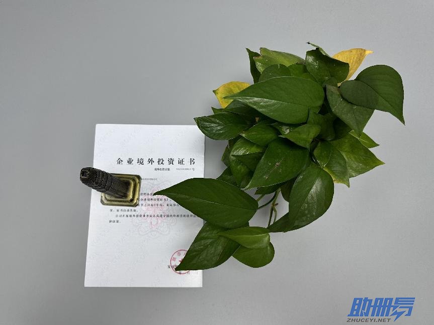 海外公司后期維護(hù)知識(shí)介紹！
